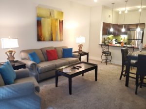 Peachtree Dunwoody Place Living Room